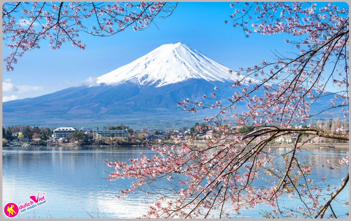 Du lịch Nhật Bản 4 ngày ngắm hoa Anh Đào bay Vietnam Airlines